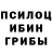 Псилоцибиновые грибы GOLDEN TEACHER Zer0x )
